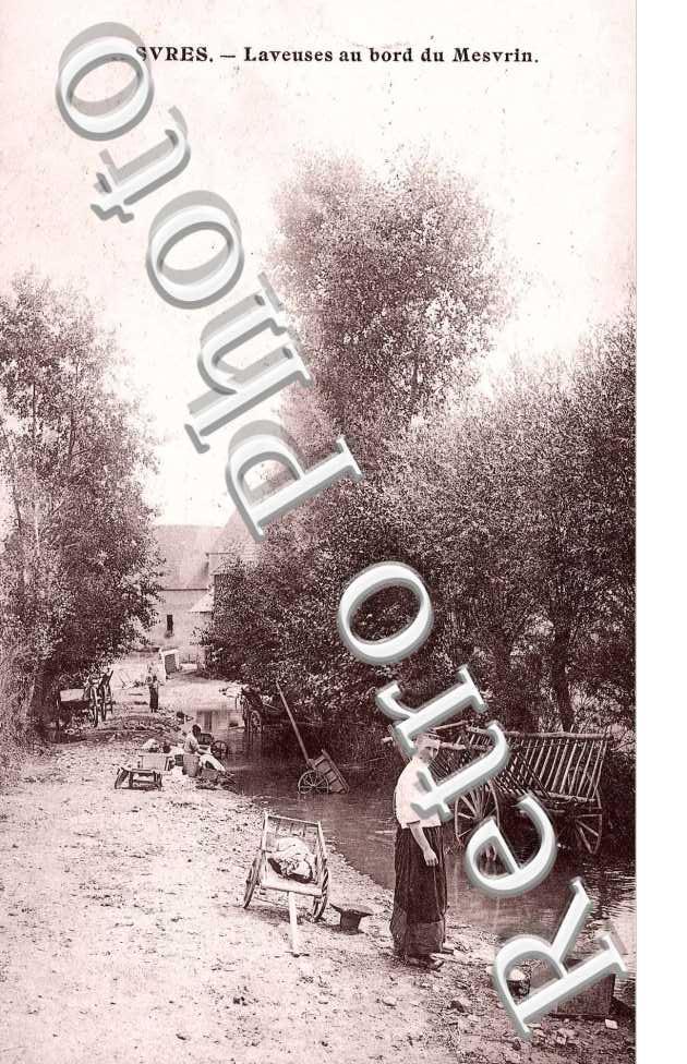 Laveusesau bord du Mesvrin