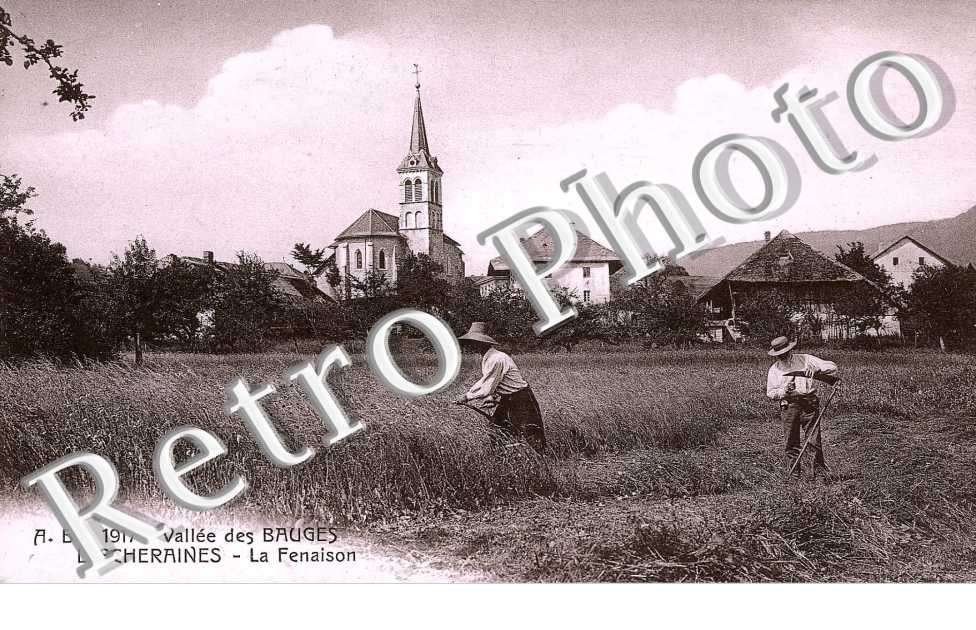 vallee des Bauges, la fenaison