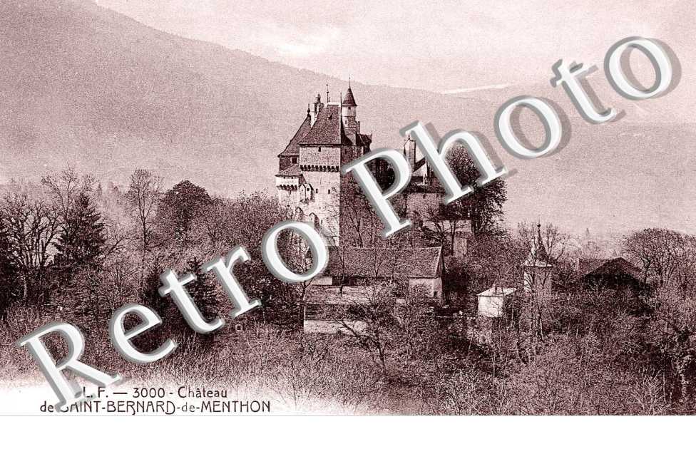 Chateau de Saint Bernard de Menthon