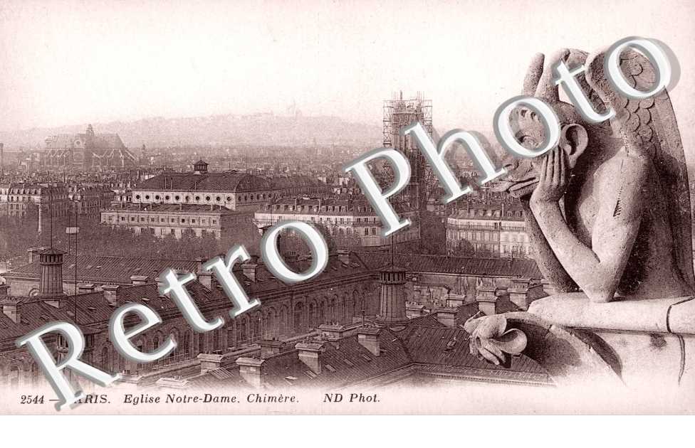 NOTRE DAME CHIMERES