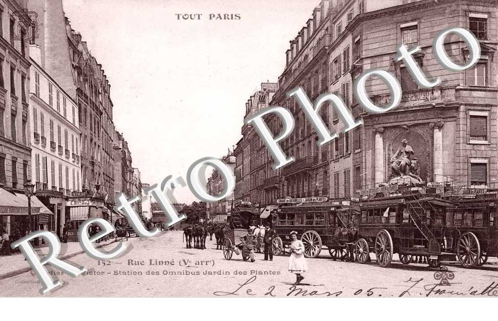 rue Linne Quartier Saint-Victor Station des omnibus Jardin des Plantes