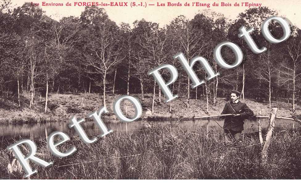 LES BORDS DE L'ETANG DU BOIS DE L'EPINAY