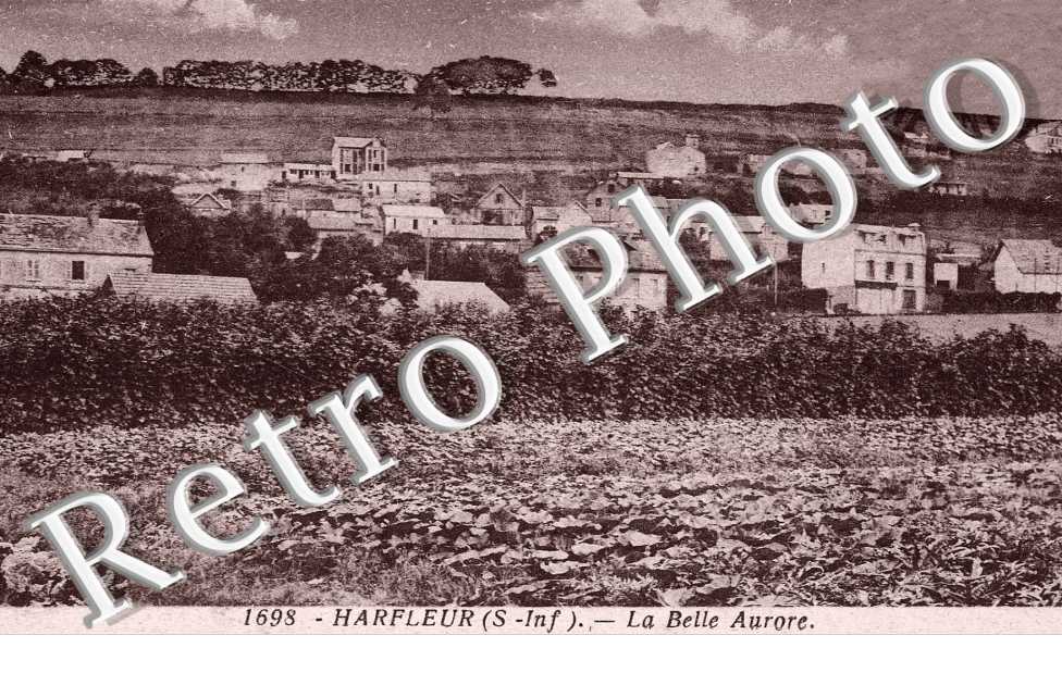 la belle aurore