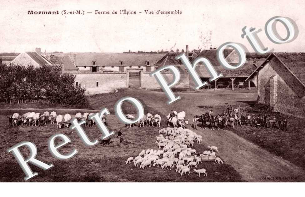 Ferme de L&#039;Epine - Vue d&#039;ensemble  (elevage)