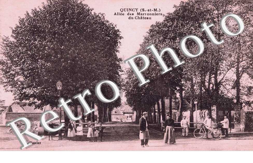 Allee des Marroniers du chateau