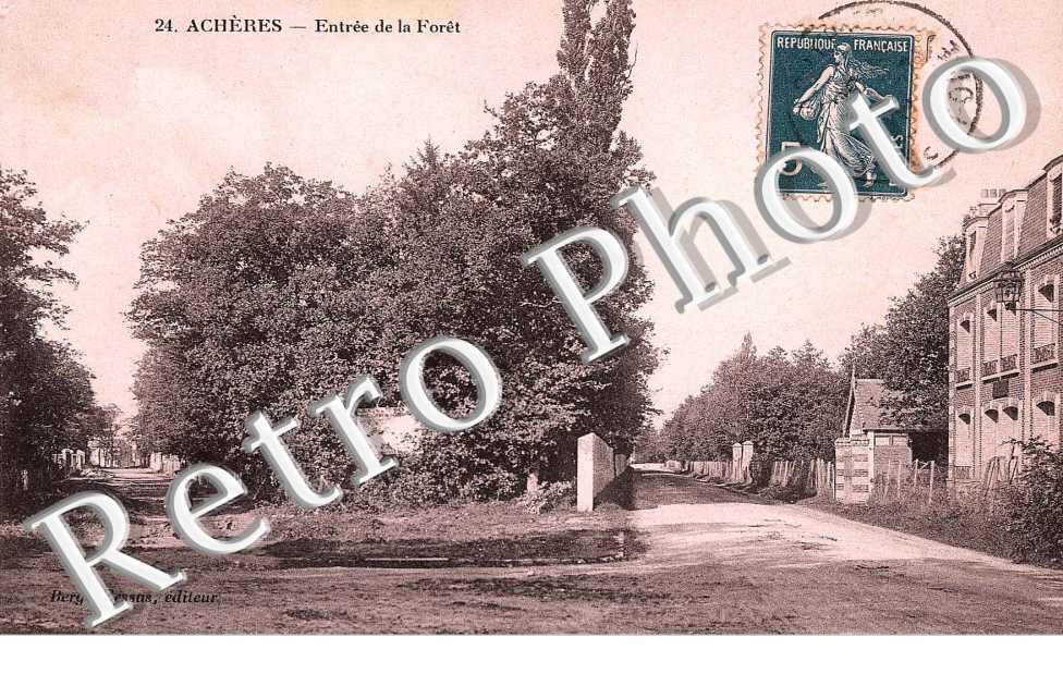 entree de la foret