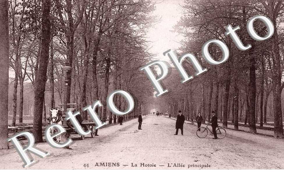 LA HOTOIE L'ALLEE PRINCIPALE