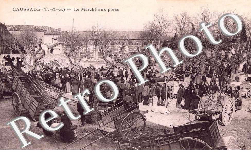 Le Marche aux porcs