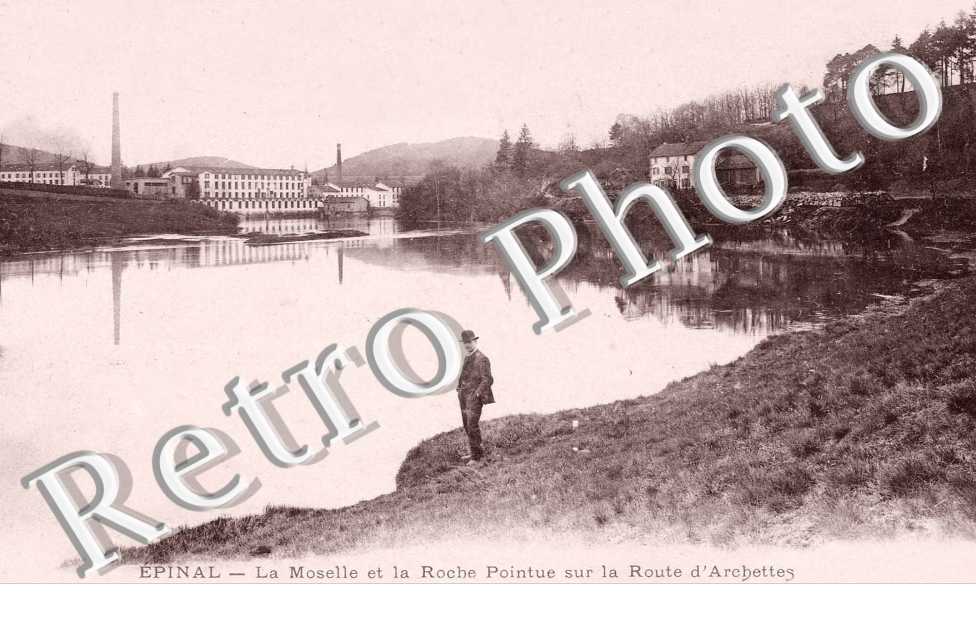 LA MOSELLE ET LA ROCHE POINTUE