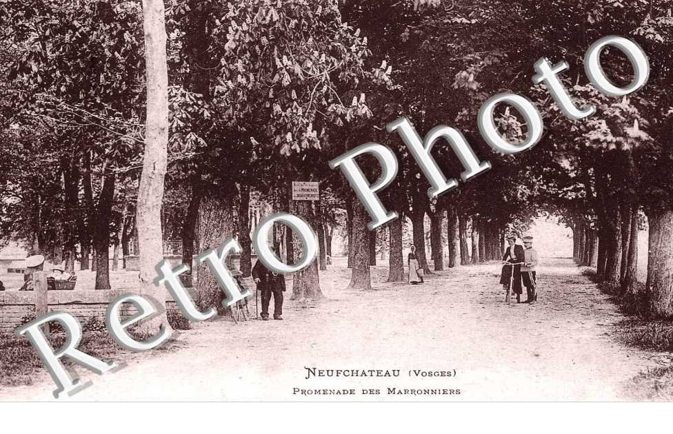 PROMENADE DES MARRONNIERS