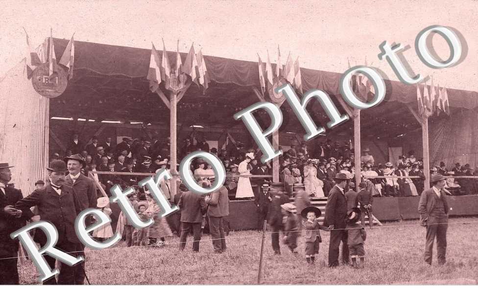 Concours de chiens juillet 1907