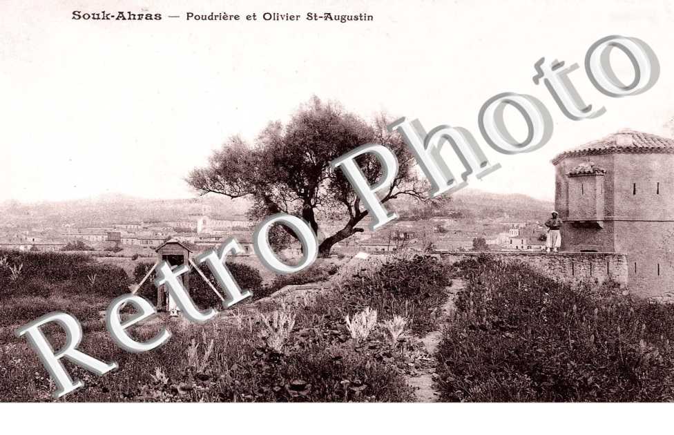 Poudrière et Olivier Saint-Augustin