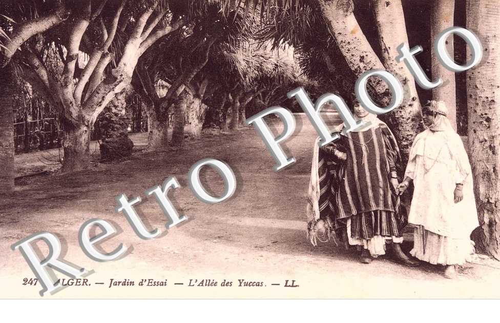 Jardin d'Essai - l'Allée des Yuccas