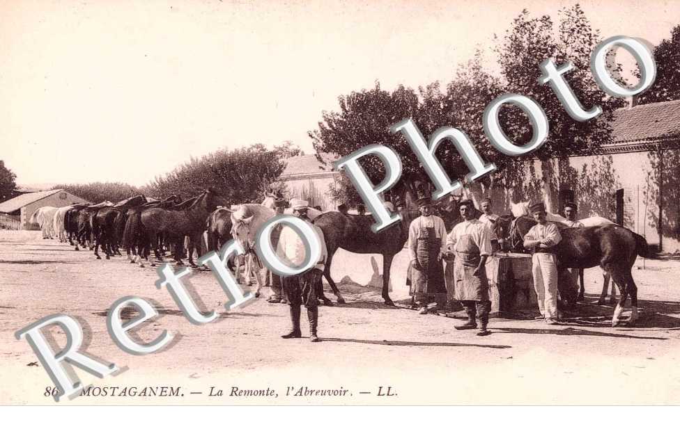 la remonte, l'abreuvoir