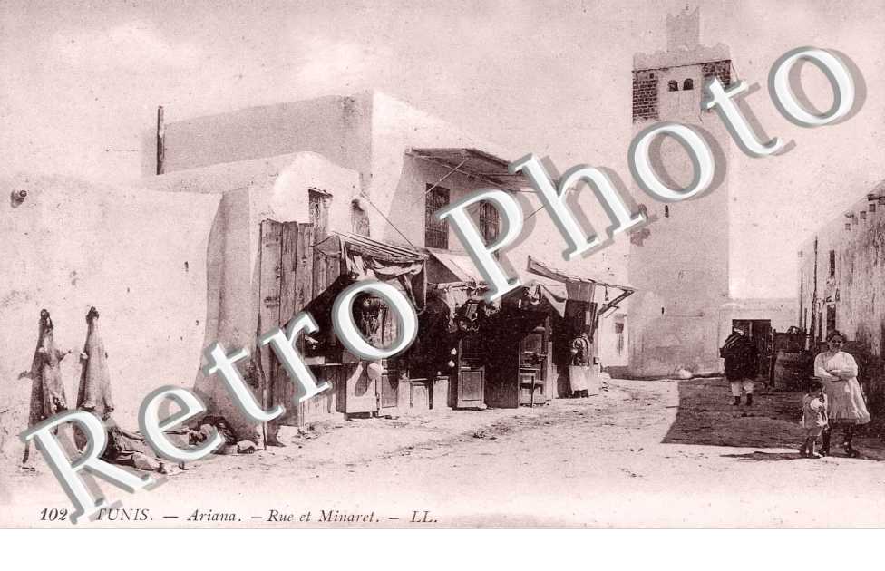 Ariana - rue et minaret