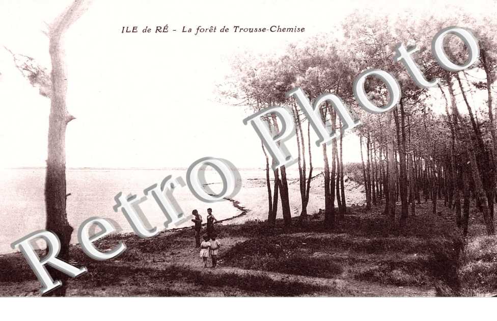La foret de Trousse Chemise