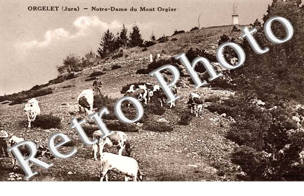 NOTRE DAME DU MONT ORGIER