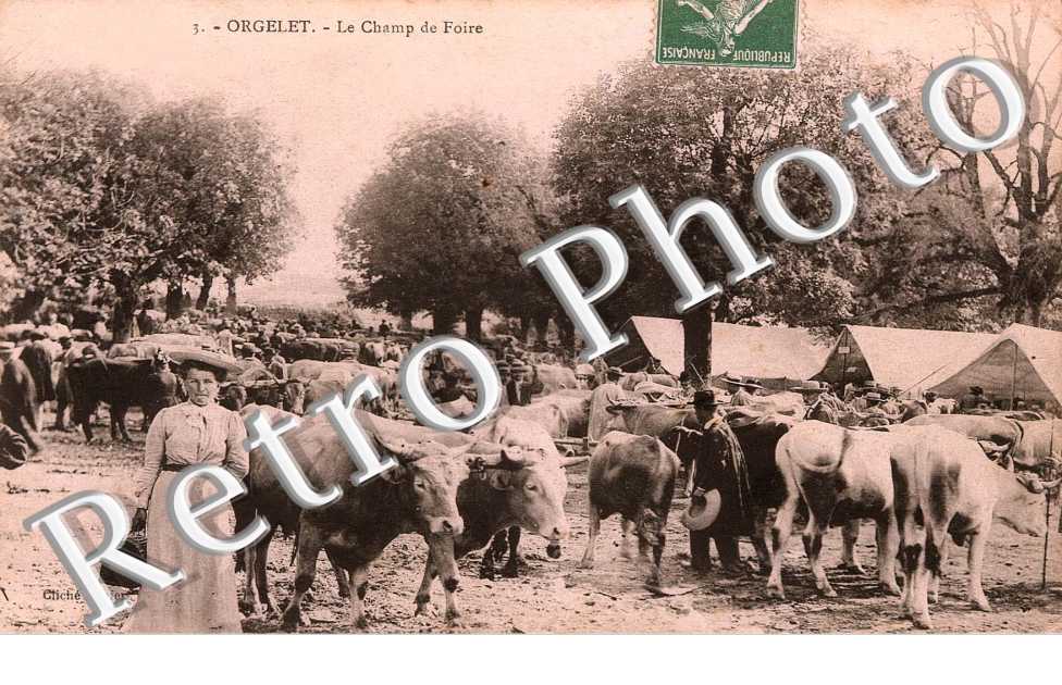 le champ de foire