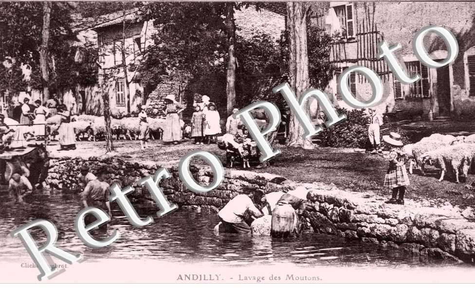 LAVAGE DES MOUTONS