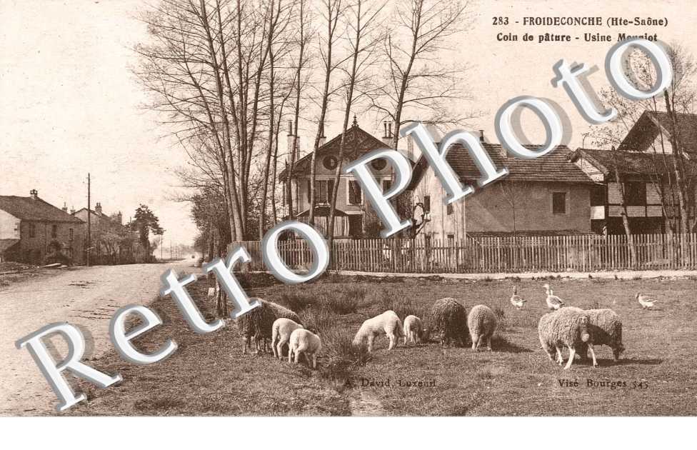 coin de pature, usine Meuniot