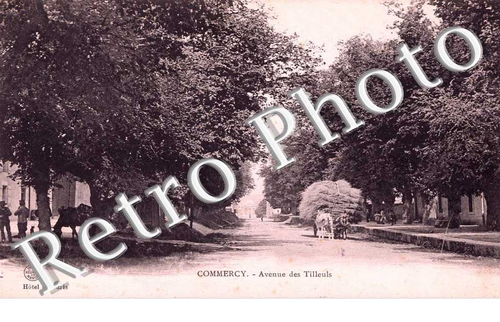 Avenue des tilleuls