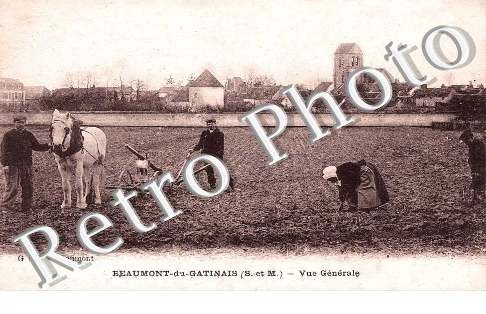 Vue generale - agriculture - charrue