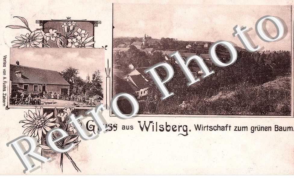 gruss aus Wilsberg  Wirtschaft  zum grunen Baum