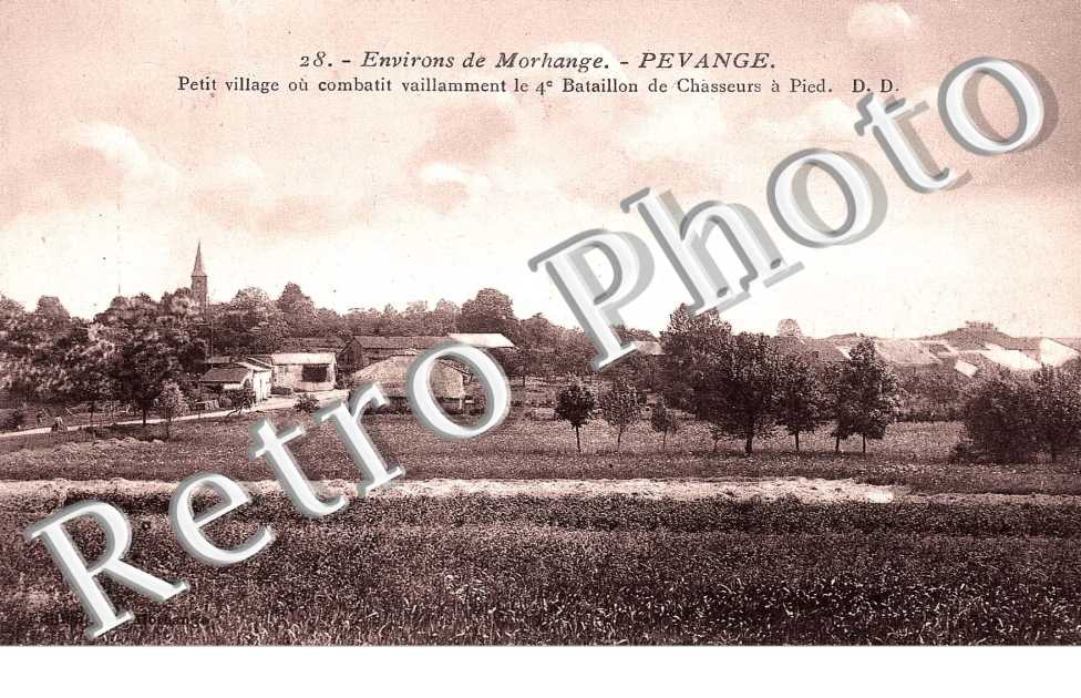 vue coloris