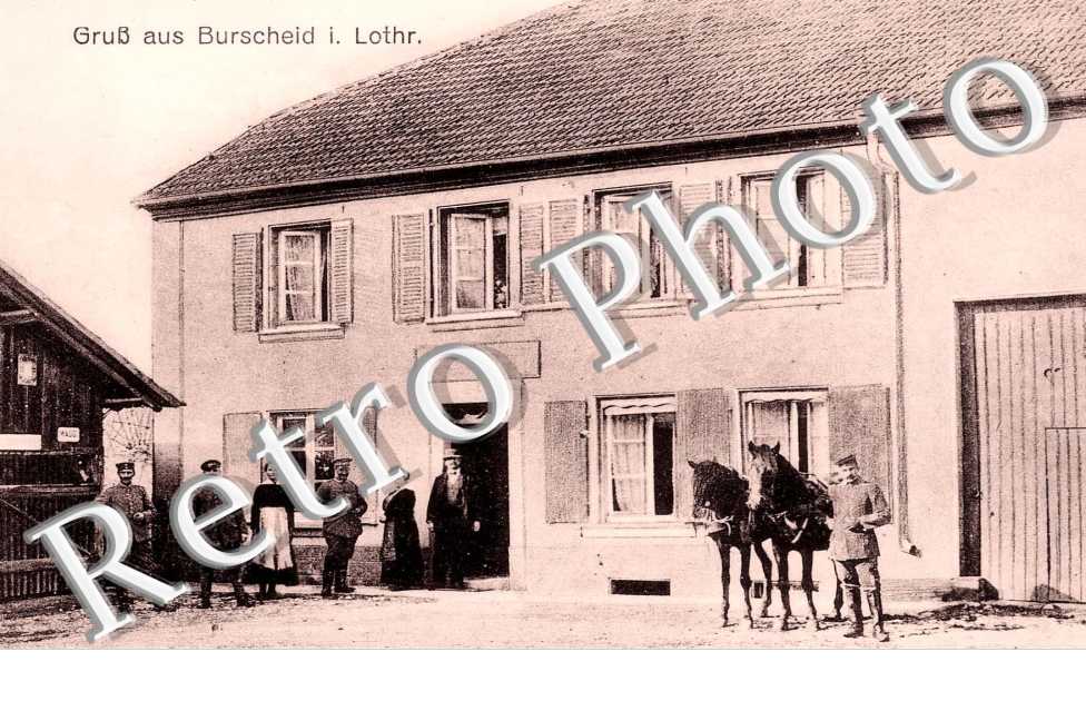 GRUSS (MILITAIRE + 2 CHEVAUX A DROITE)