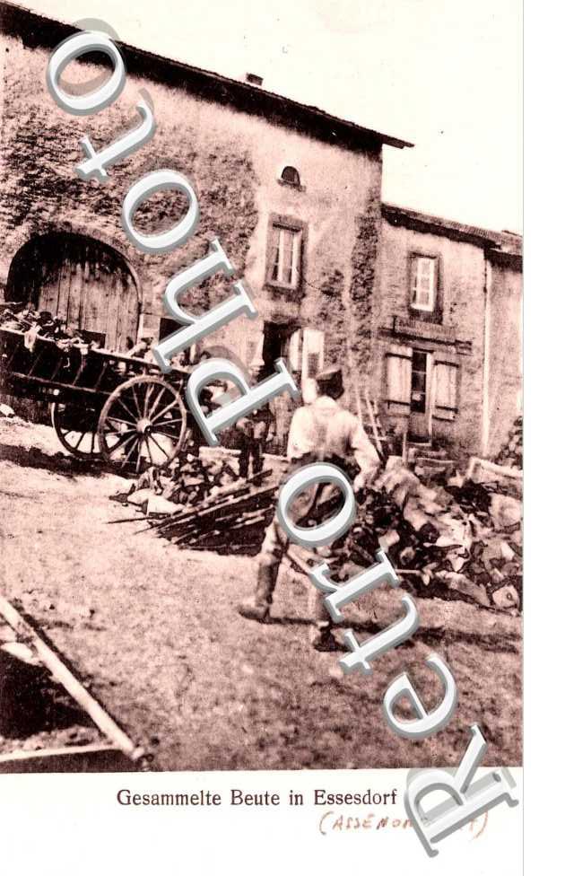 GESAMMELTE BEUTE IN ESSESDORF
