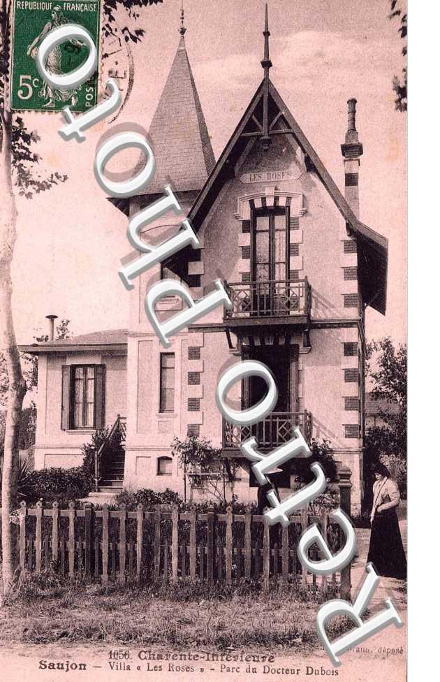 villa les roses - parc du docteur dubois