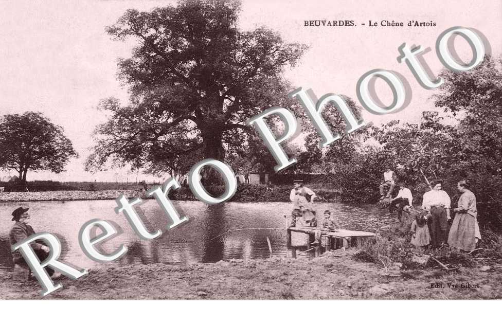 Le chene d'Artois