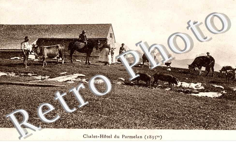 Chalet-hotel du Parleman