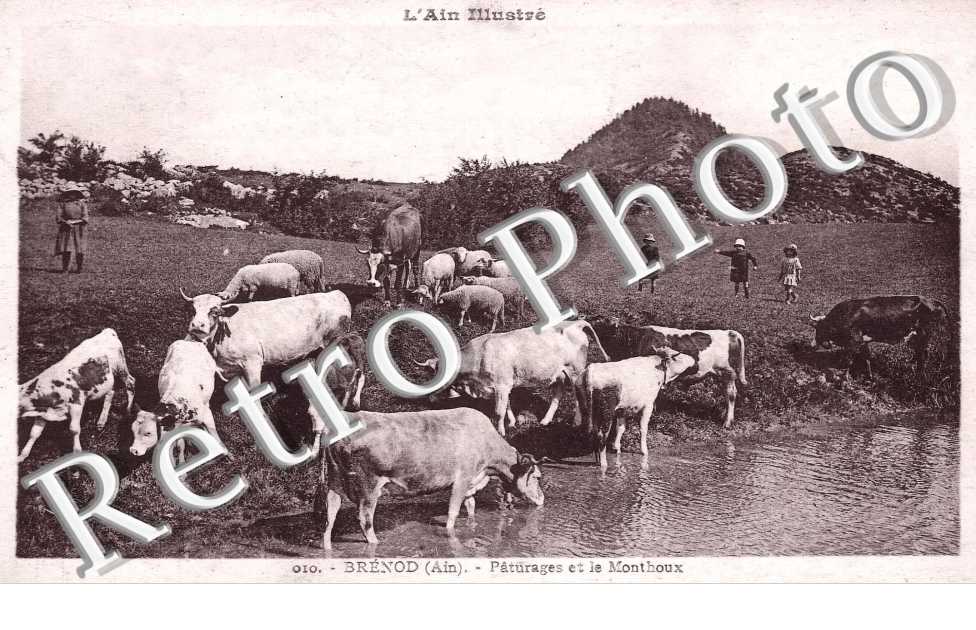 Paturage et le Monthoux