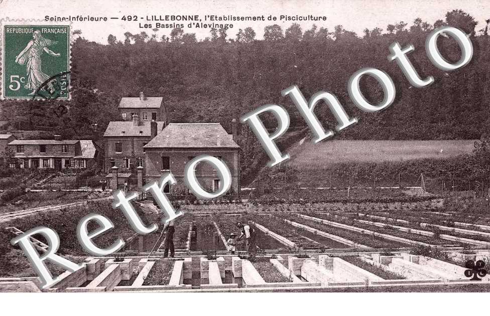 Etablissement de pisciculture - bassin d&#039;alevinage