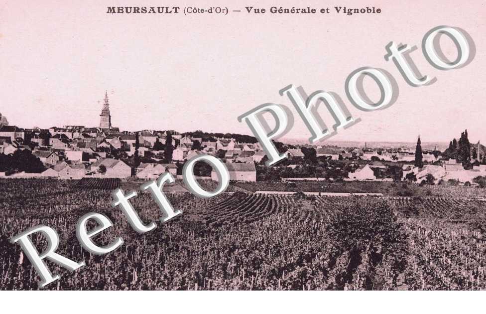 Vue generale et vignoble