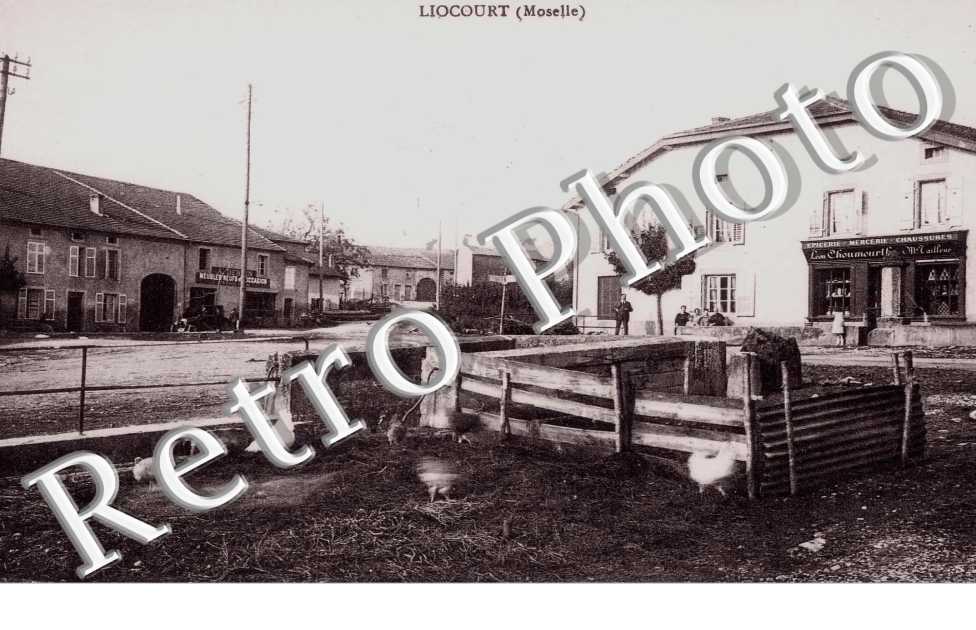 (ENCLOS ET POULES PREMIER PLAN)