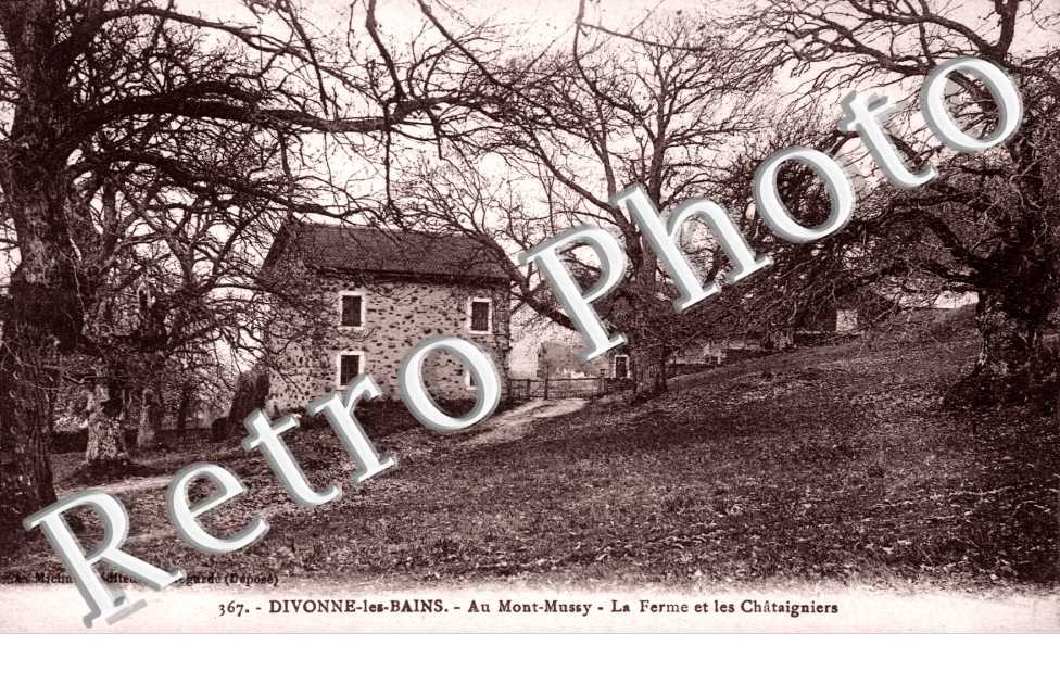 Au Mont-Mussy - la ferme et les Chataigniers
