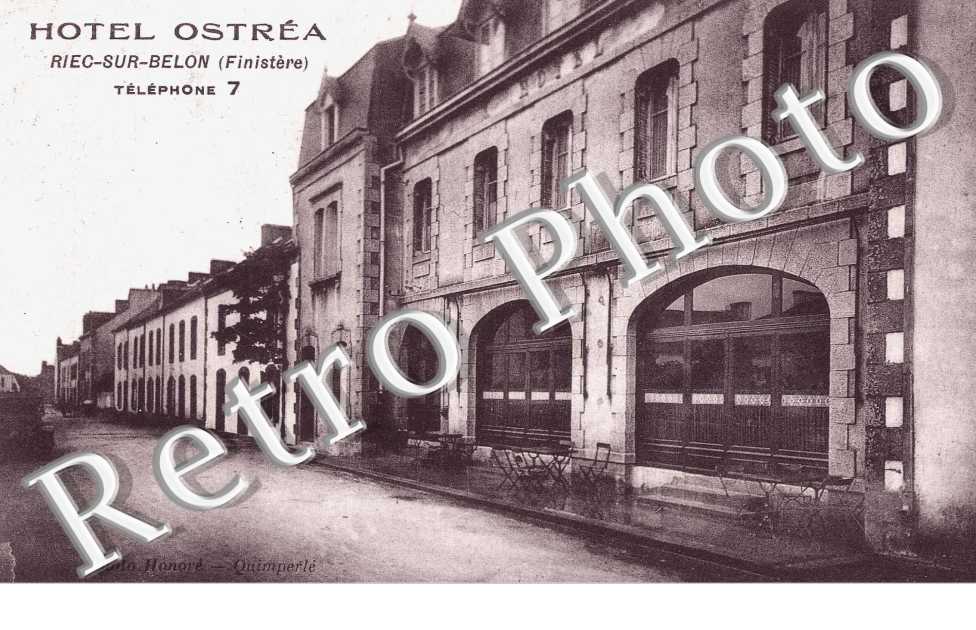 hotel Ostrea