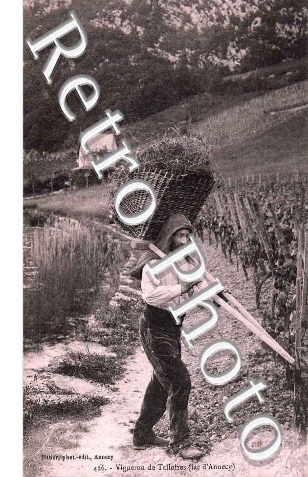 Vigneron - porteur