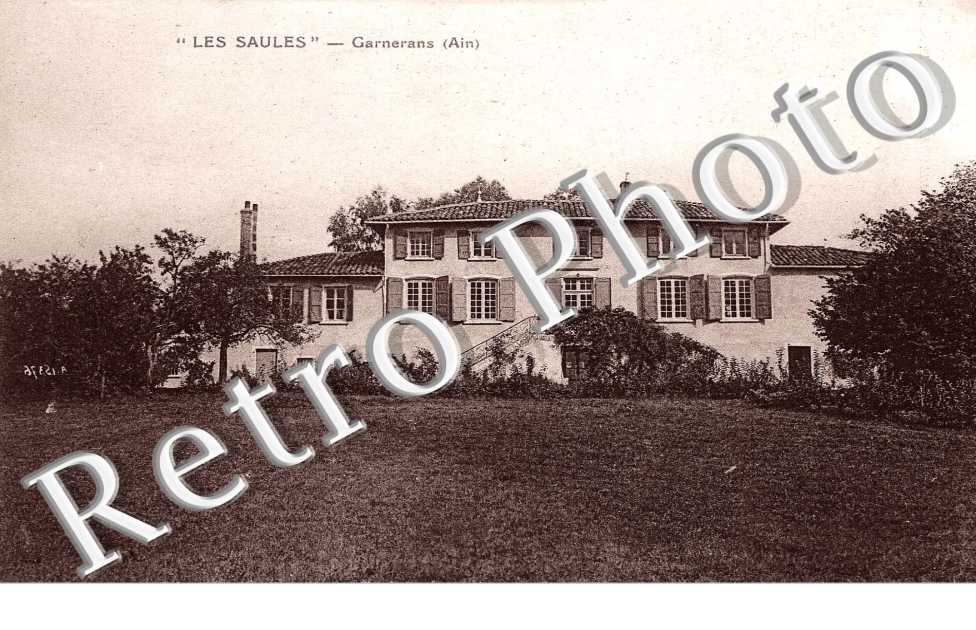 "Les Saules"