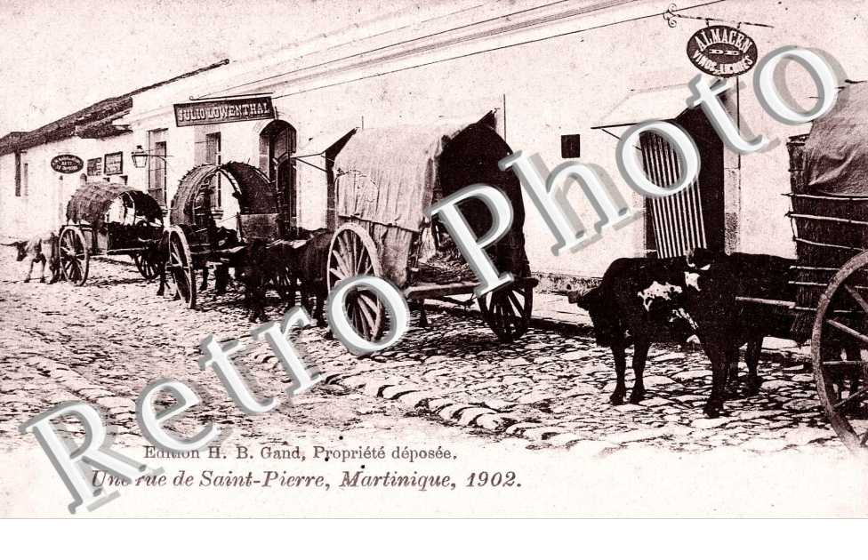 UNE RUE DE SAINT PIERRE MARTINIQUE 1902