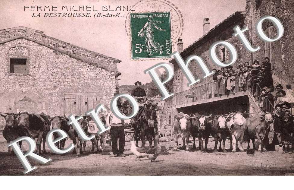 Ferme Michel Blanc