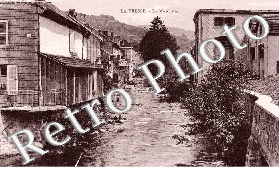 la Moselotte