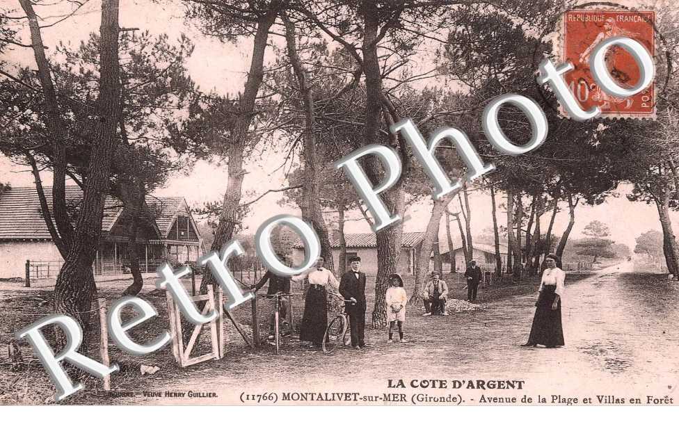 avenue de la plage et villas en foret