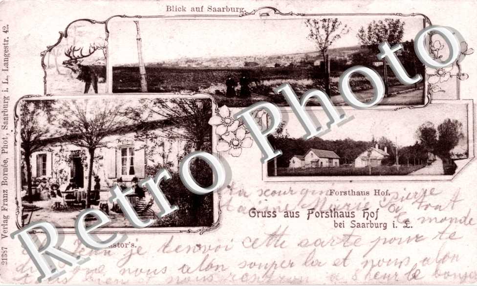 GRUSS AUS FORSTHAUS  HOF  Bei Castor&#039;s