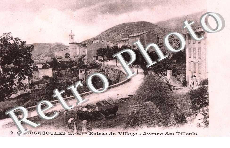 Avenue des Tilleuls