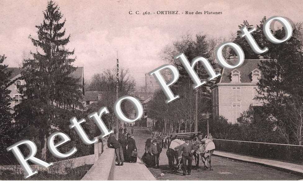 RUE DES PLATANES