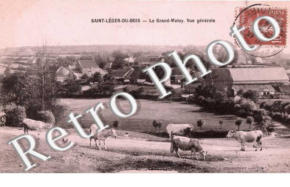 Le grand moloy - vue générale