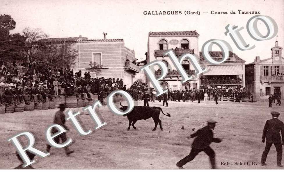 Course de taureaux